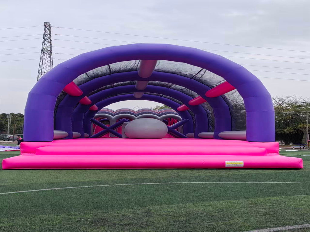 Giant Inflatable Slide